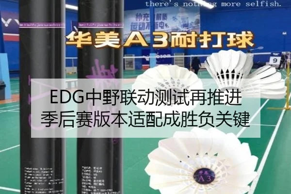 EDG中野联动测试再推进 季后赛版本适配成胜负关键